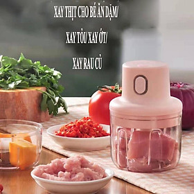 Mua Máy Xay Thịt Cầm Tay Mini Sạc Điện 250ml Máy Xay Tỏi Ớt Củ Quả Đa Năng Có Cổng Sạc Usb