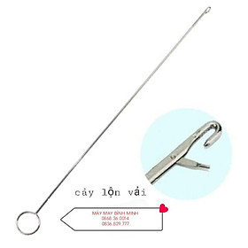 Mua Cây lộn vải loại tốt