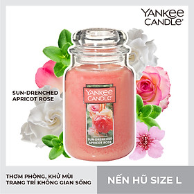 Mua Nến hũ Yankee Candle size L - Sun Drenched Apricot Rose