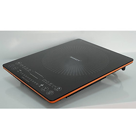 Bếp từ Sanaky ICS20A