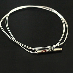 Mua Dây Cảm Biến Nhiệt Độ PT100 WZP