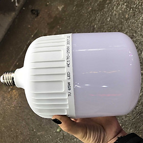 Mua Bóng đèn Led ngoài trời LED-65W