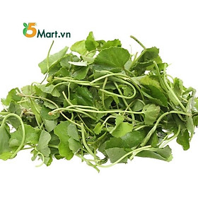 [Chỉ giao HCM]  Rau má
