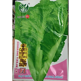Hạt giống cải canh Hông Kong 20gr