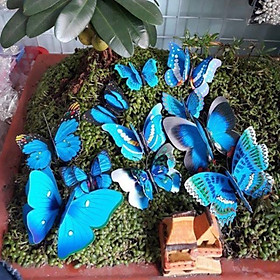 Bướm bộ cài tóc cô dâu - bướm bộ trang trí