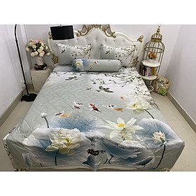 Bộ Chăn Drap gối HÀNG CHÍNH HÃNG { 5 món} thun Ý 5D Cao Cấp , mát lạnh, thấm hút tốt