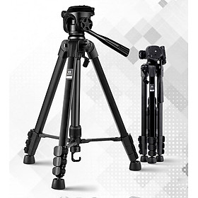 Mua Chân Benro T890 kèm kẹp điện thoại và remote chân chính hãng