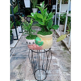 Mua Đôn sắt / Kệ sắt kê chậu cây cảnh bình nước ĐỦ SIZE