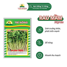 Mua Hạt Giống Cải Mầm Trí Nông  TN20  Dễ Trồng  Dễ Chăm Sóc  Nhanh Thu Hoạch  Thời gian thu hoạch 6 ngày  Gói 20gram