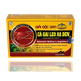 Cà Gai Leo Xạ Đen - Viên Uống Bổ Gan, Giải Độc Gan, Tăng Cường Chức Năng Gan (Hộp 60 Viên)