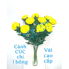 Mua Cành Hoa CÚC CHỈ  Cúc Đại Đóa 1 Bông Vải cao cấp