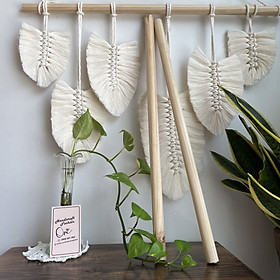 Mua Cây gỗ thông tròn phi 20