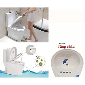 Mua Mua bồn cầu tặng chậu rửa mặt