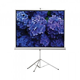 MÀN CHIẾU DI ĐỘNG  - 100 Inch (180cm x 180cm, Tỷ lệ: 1:1)