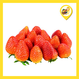 Dâu Tây Hàn Quốc Ssanta (Hộp 500g)