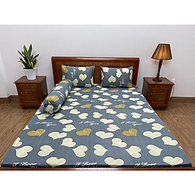 Mua Ga lẻ không áo gối thun lạnh Hàn Quốc 1m6*2m