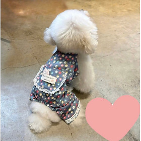 JUM YẾM DỄ THƯƠNG TỪ 2.2-6.5KG CHO THÚ CƯNG CHÓ MÈO