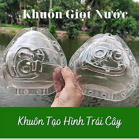 Khuôn tạo hình trái bưởi hình giọt nước Tài Lộc