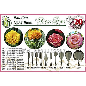 Mua Bộ 10 dụng cụ làm rau câu 3D – Bộ số 20 - Tặng kèm kim nhụy – Mã số 1649