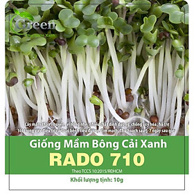 Mua Hạt Giống Rau Mầm Bông Cải Xanh (Súp Lơ Xanh)