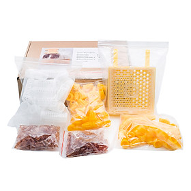 Queen Rearing Box Queen Breeding Kit Bee Incubator Beekeeping Tool Kit Queen Cell Complete Queen Rearing Kit Beekeeping