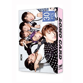 Bộ ảnh thẻ IKON lomo card IKON