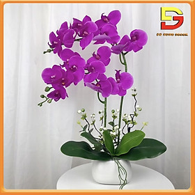 Mua Hoa Giả Chậu Hoa Lan Hồ Điệp 2 Nhánh Cắm Sẵn Nhiều Sắc Decor Trang Trí Nhà Cửa DG-228