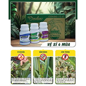 Mua Combo Vệ Sĩ - Bộ Sản Phẩm Phòng Trừ Thối Nhũn  Thán Thư  Đốm Đen  Sương Mai & Ruồi Vàng  Bọ Trĩ  Nhện Đỏ  Sâu  Rầy  Rệp