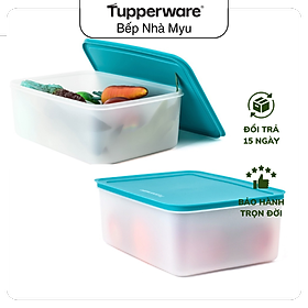 Mua BỘ TUPPERWARE 2 HỘP TRỮ ĐÔNG FREEZERMATE GEN II 5.7L (01 HỘP)