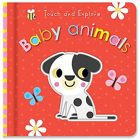 Touch And Explore Baby Animals