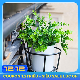 Giỏ Treo Chậu Hoa Ban Công Bằng Sắt