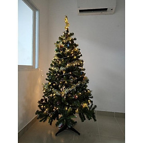 Cây thông noel 3 loại lá gắn trái thông cao 1m2 - Cây loại 3 lá dày đẹp sang trọng