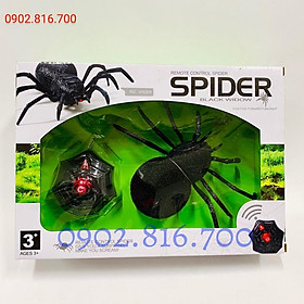 Đồ chơi mô hình nhện điều khiển từ xa 2112