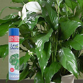 Xịt bóng leaf shine 600 ml