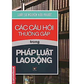 Các Câu Hỏi Thường Gặp Trong Pháp Luật Lao Động