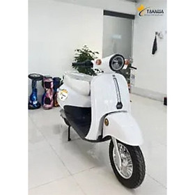 XE MÁY ĐIỆN TAHAWA TH-MONO