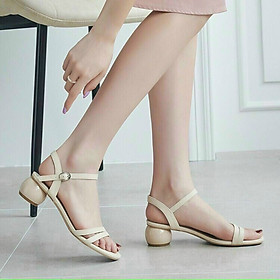 SANDAN GÀY CAO GÓT 5 PHÂN ĐẾ HẠT CAU ĐỘC ĐÁO MỚI LẠ