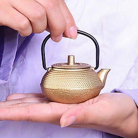 Ấm pha trà kiểu nhật nhỏ ấm đun nước ấm tetsubin ấm trà nhỏ ấm trà 50ml