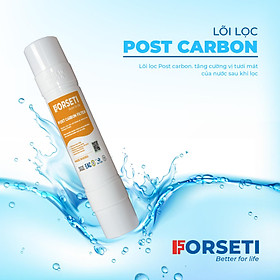 Mua LÕI LỌC POSTCACBON - FORSETI