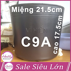 100 Chậu nhựa C9 21.5x17.5cm trồng cây ăn trái và hoa,bền 10 năm -77121