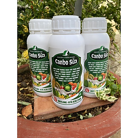 CANBO SỮA chai 500ml - Hạn chế rụng hoa và trái non - Chống thối trái và nứt trái