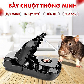 Bẫy chuột thông minh, bắt chuột hiệu quả, an toàn