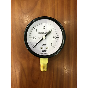 Dụng cụ đo áp suất P110-60A - dãy đo Kgf/cm2