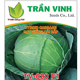 Hạt giống Bắp cải ngắn ngày TV20 - 10gr (Chịu nhiệt, năng suất cao) Nhập khẩu Đài Loan