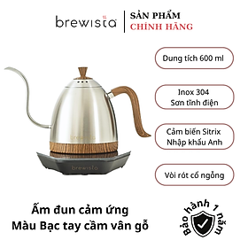 Ấm kiểm soát nhiệt độ chuyên dụng pha chế Cafe Artisan Gooseneck Variable 0.6L - Chính hãng Brewista