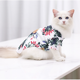 Áo sơ mi phong cách Hawaii cho chó mèo - Quần áo chó mèo thú cưng