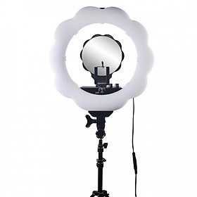 Mua Đèn Led Ring Light Hình Hoa MD107B 2300-7500K Màu Đen 18 inch