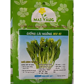 Hạt giống Rau Cải Ngồng 20g