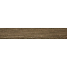 Mua gạch ốp lát mờ khuôn 20x120cm ELC2012113