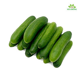Dưa leo baby 500gr